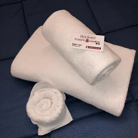 Window Bed and Breakfast Πομπηία