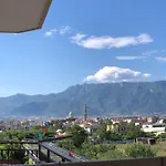 Window 4*